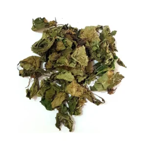 Feuilles de messep séché (basilic sauvage) – Herbe aromatique traditionnelle africaine | Kenza Market