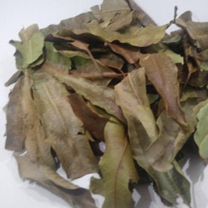 Sachet de feuilles séchées de goyavier de 50 g.