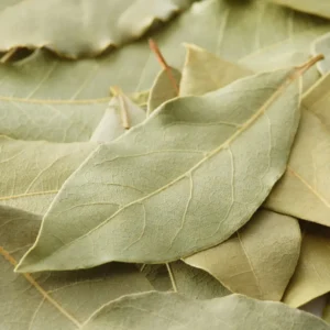 Feuilles de laurier séchées naturelles en sachet 50g Kenza Market, pour infusion et bien-être.