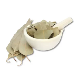 Feuilles d’eucalyptus séchées naturelles – infusion bien-être respiration, Kenza Market ​