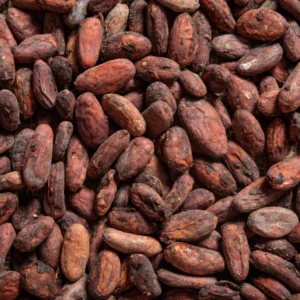Fèves de cacao 50 g – Naturelles et riches en saveurs | fèves de cacao naturelles