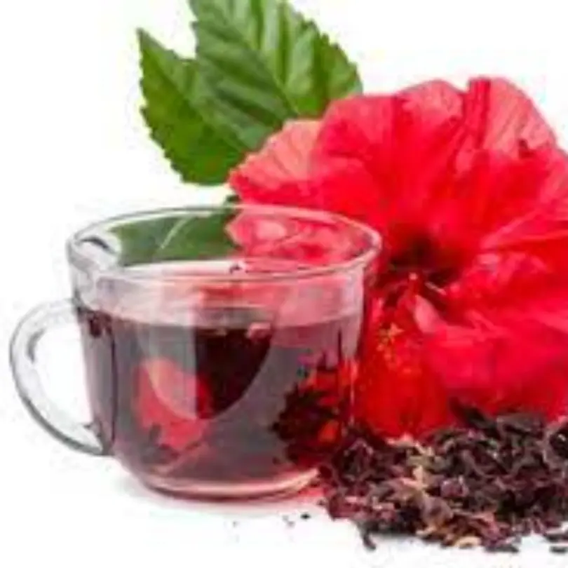 Thé bissap-gingembre 15 sachets