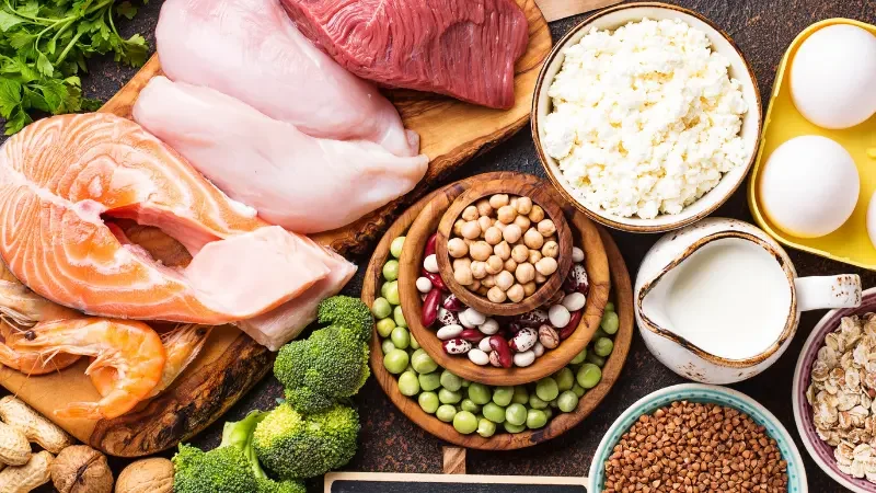 Aliments Riches en Protéines : Guide Complet Animales vs Végétales